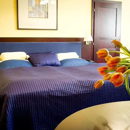 Arte Hotel 4*